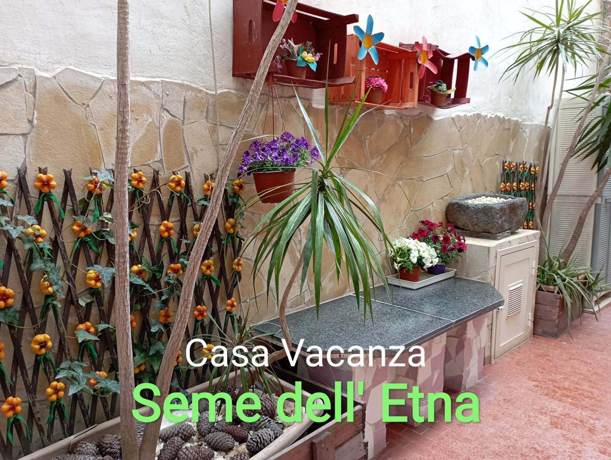 Seme Dell' Etna Villa CTA Room photo